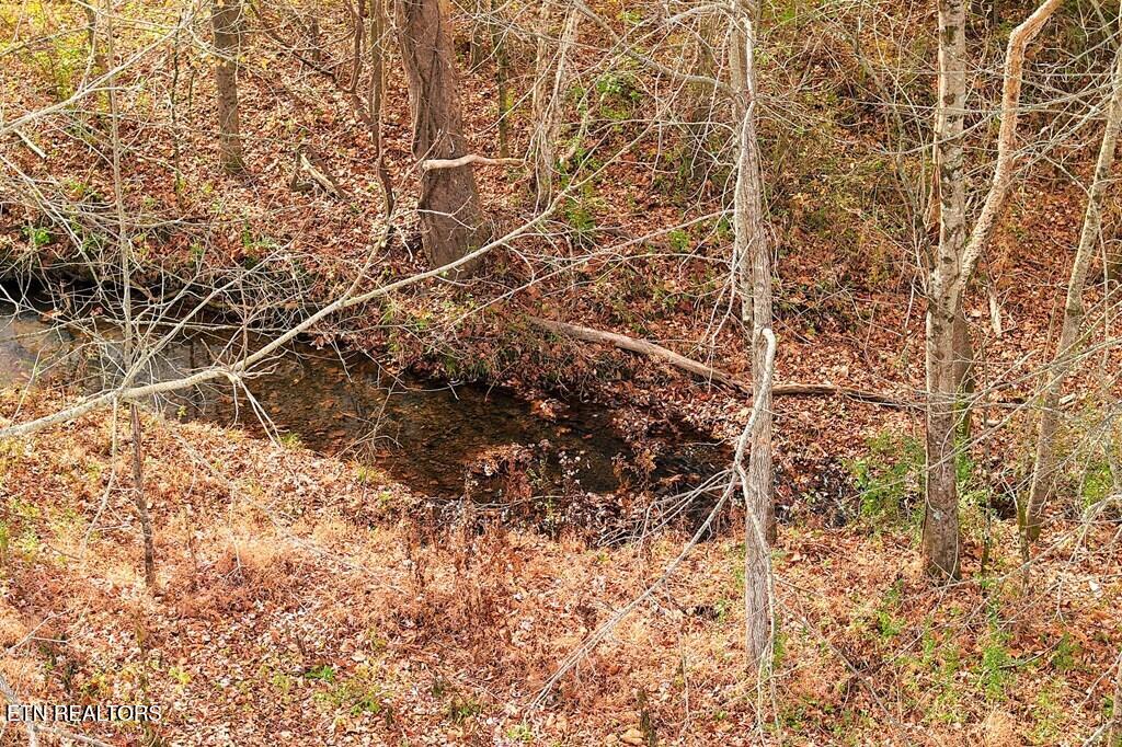 Old Kentucky Road Sparta TN 38583