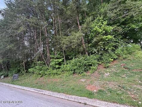 1012 Saint Johns Drive Maryville TN 37801