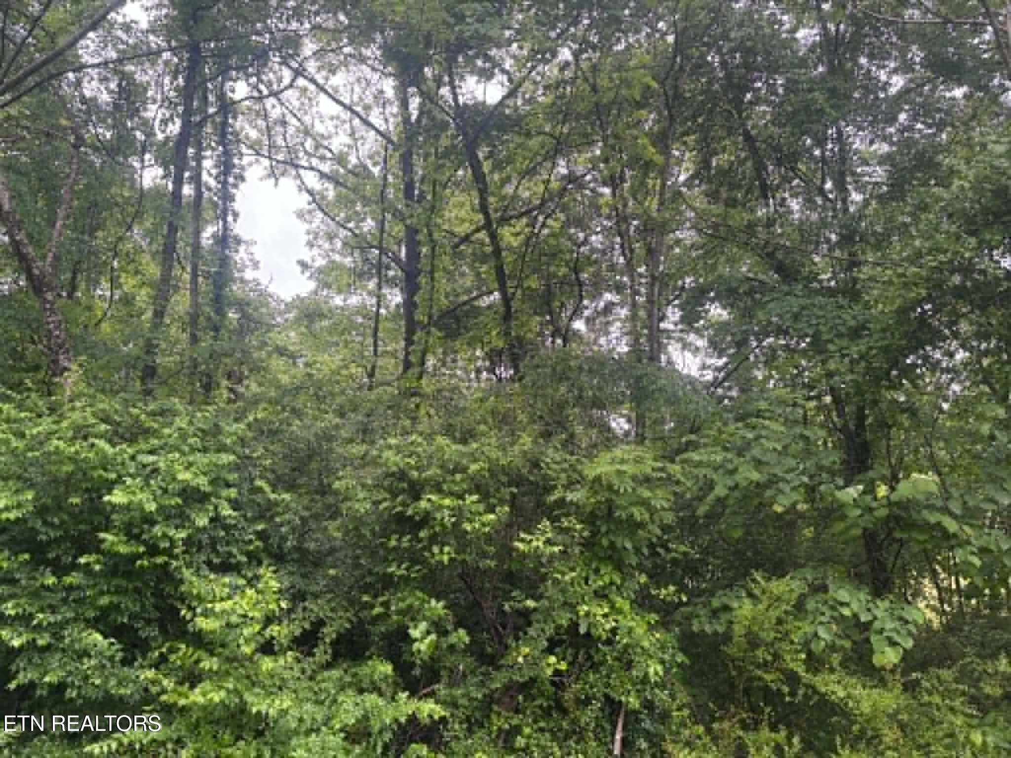 Brogan Lane Tazewell TN 37879