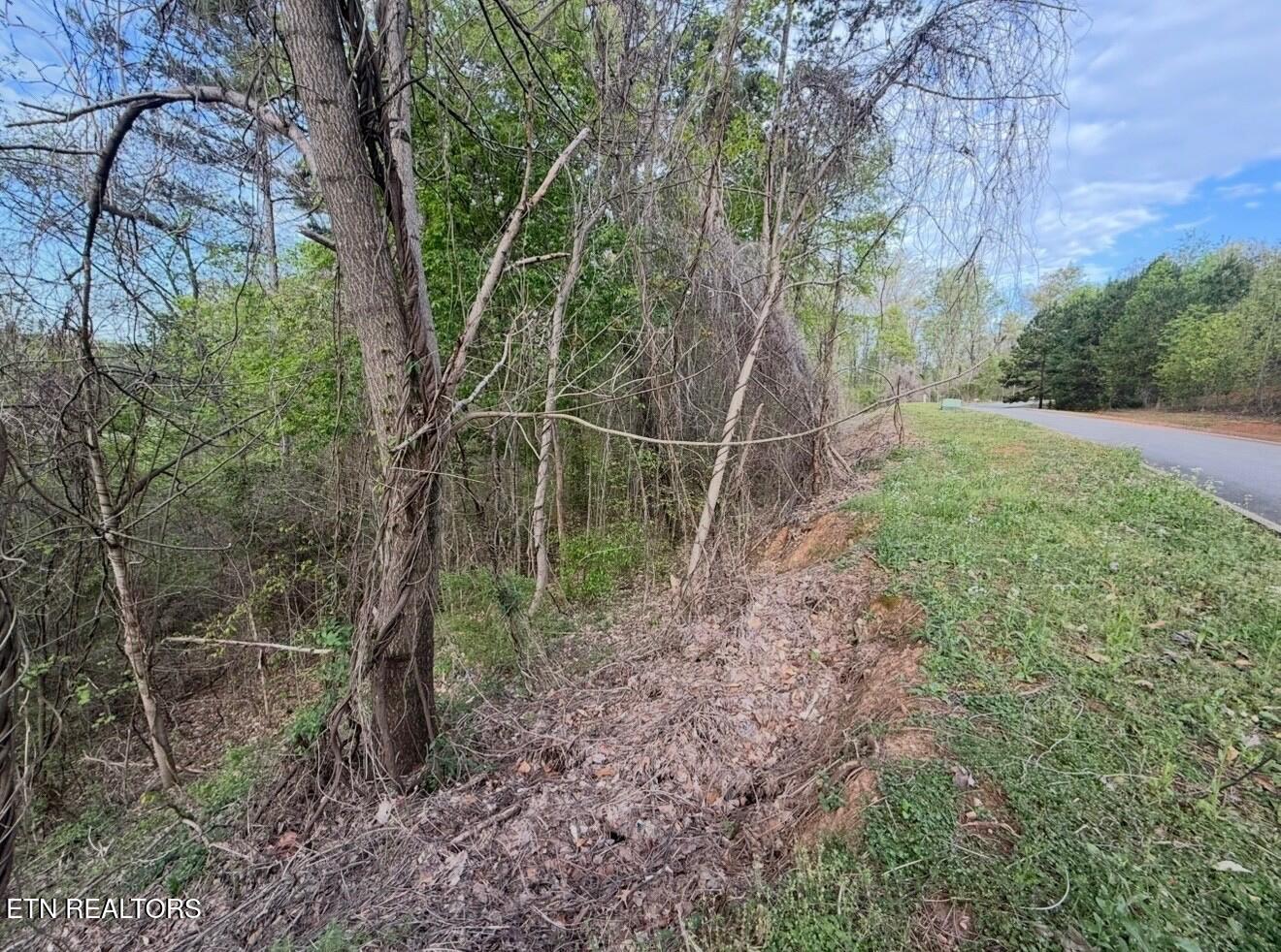 140 Tumbleweed Trail Rutledge TN 37861