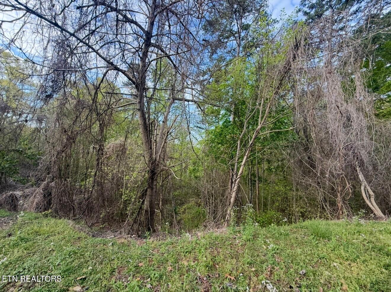 140 Tumbleweed Trail Rutledge TN 37861
