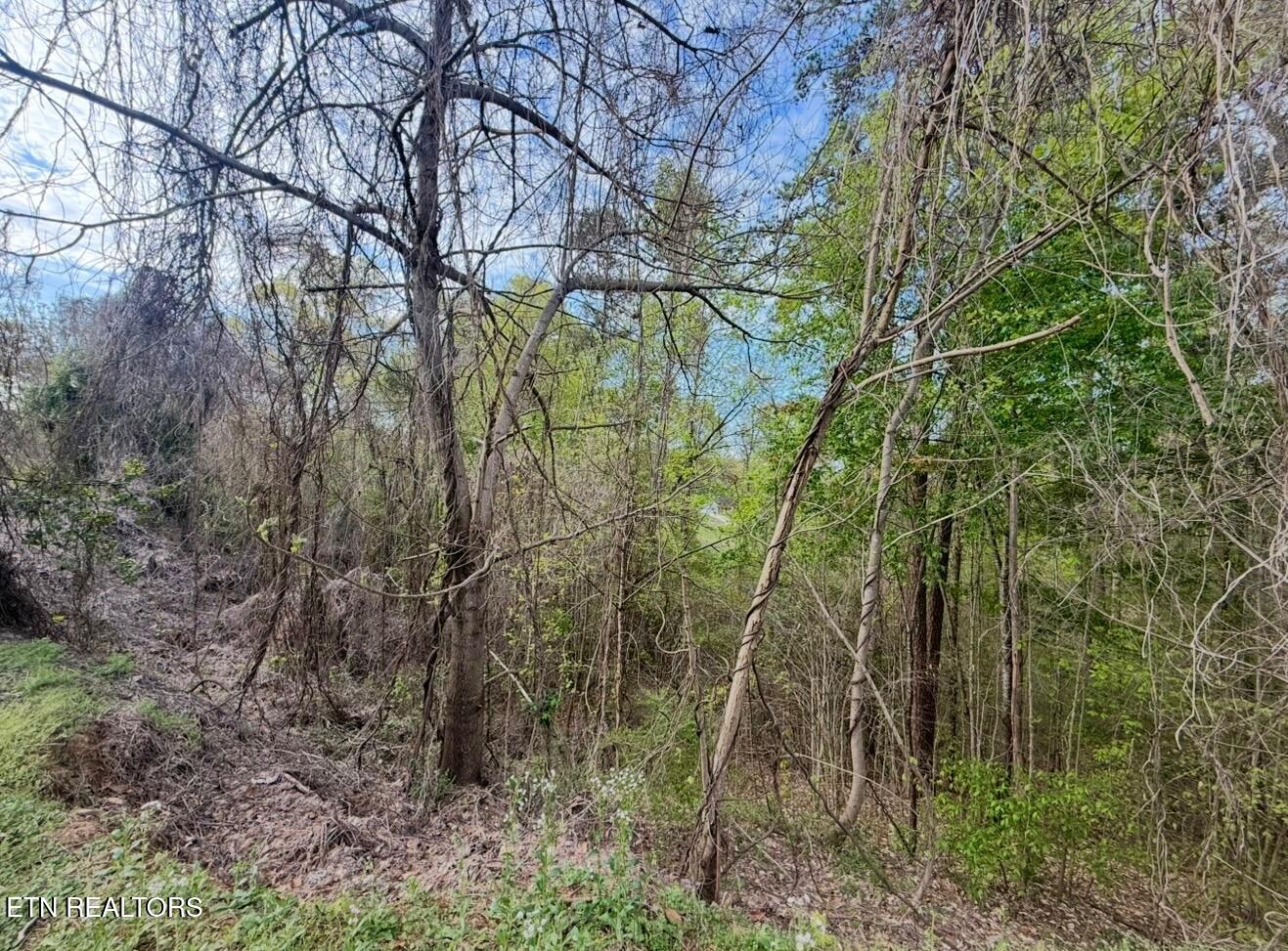 140 Tumbleweed Trail Rutledge TN 37861