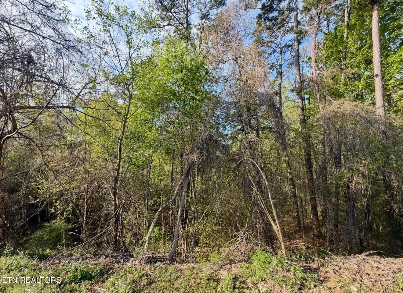 140 Tumbleweed Trail Rutledge TN 37861