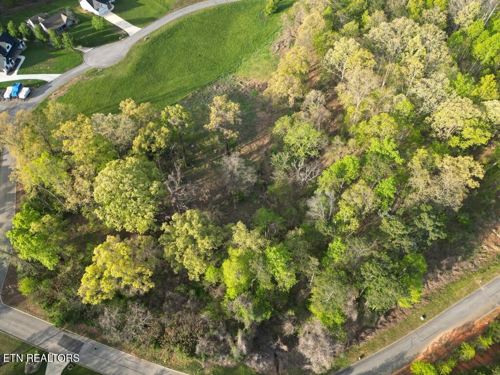 140 Tumbleweed Trail Rutledge TN 37861