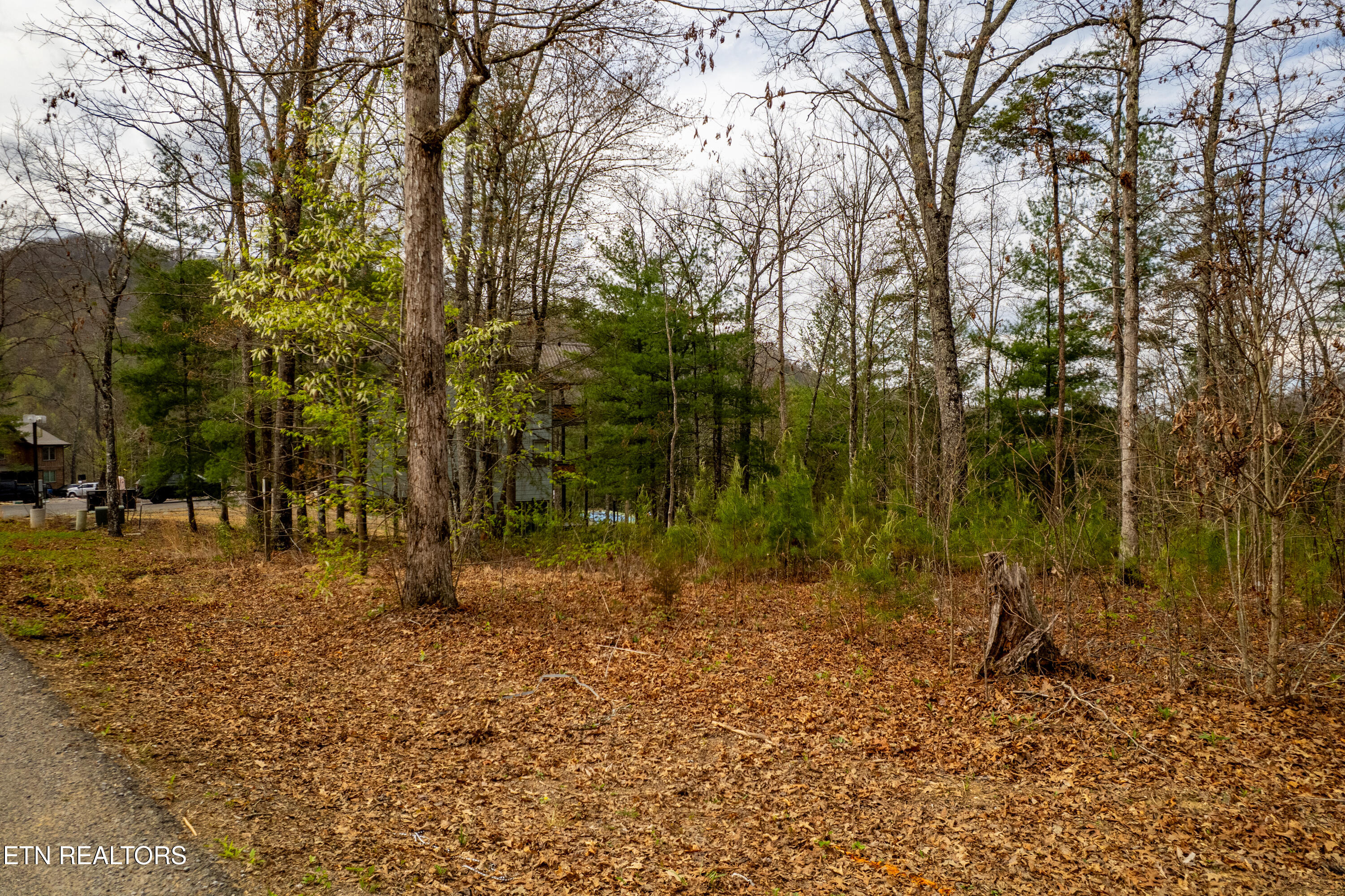 Mountain Ash Way Sevierville TN 37876