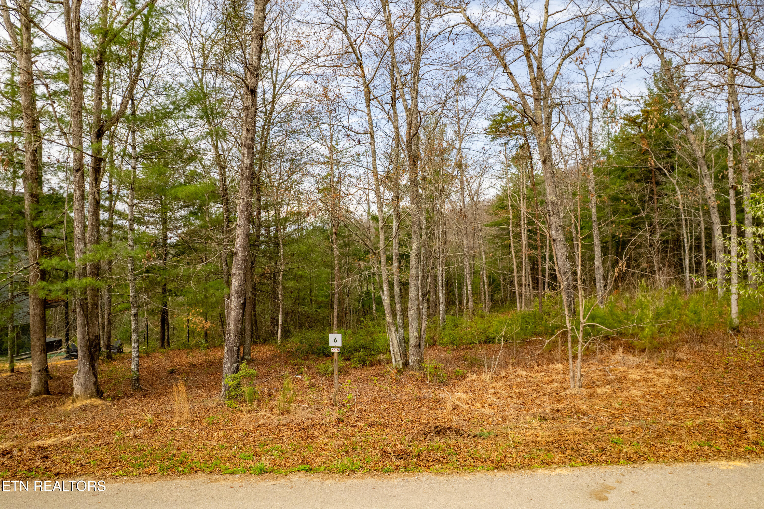 Mountain Ash Way Sevierville TN 37876