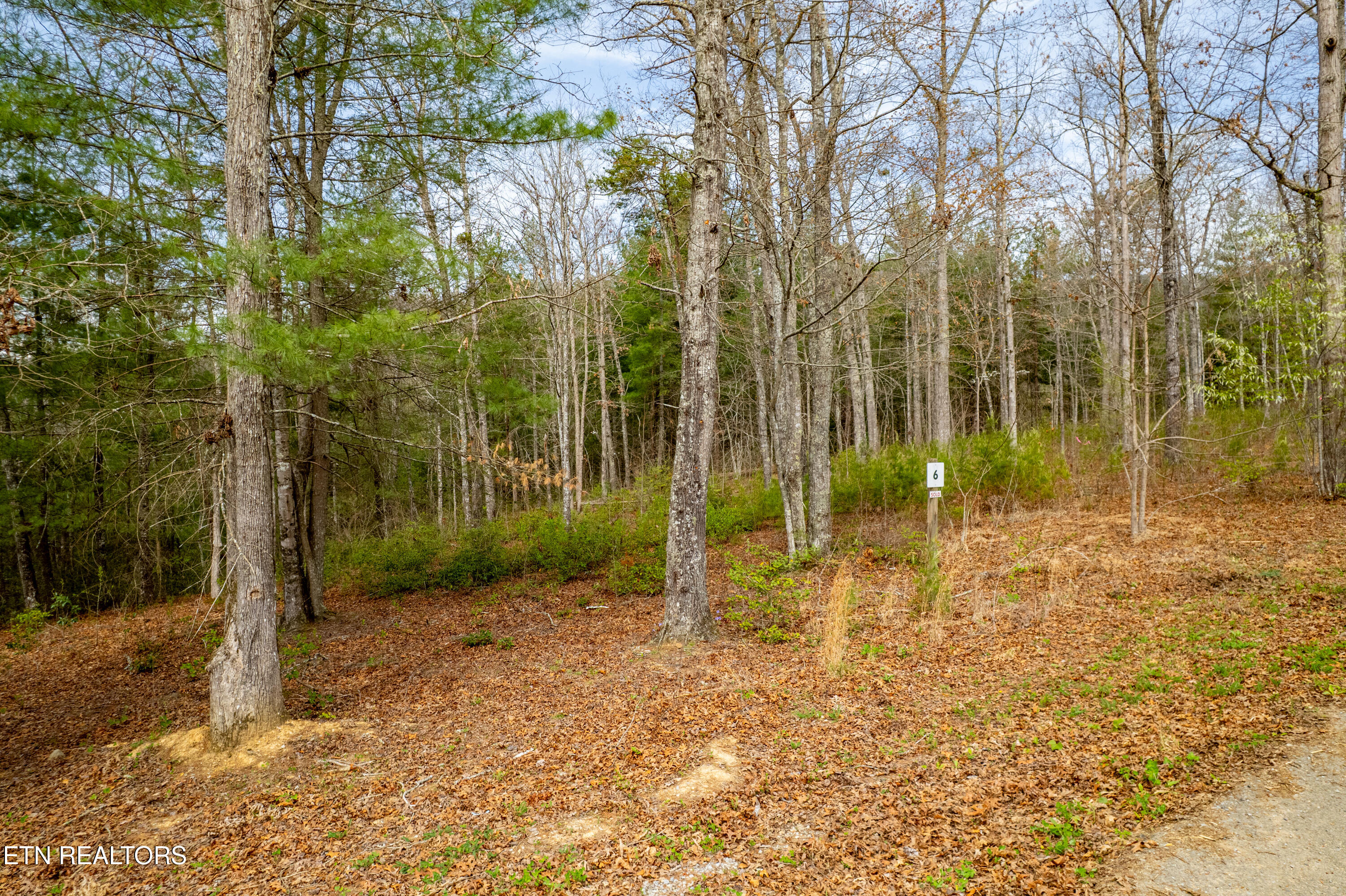 Mountain Ash Way Sevierville TN 37876