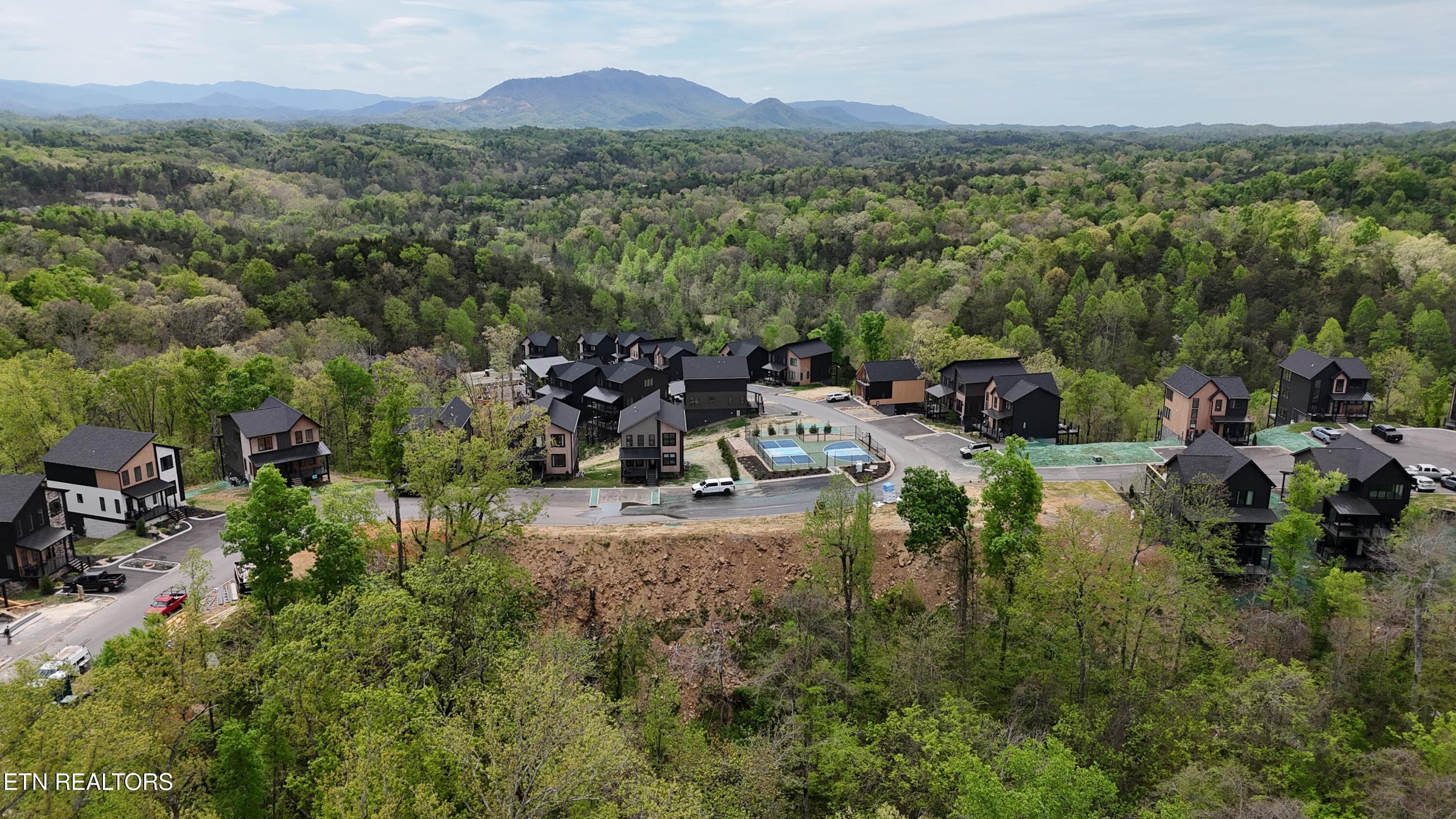 Reedmont Way Sevierville TN 37876