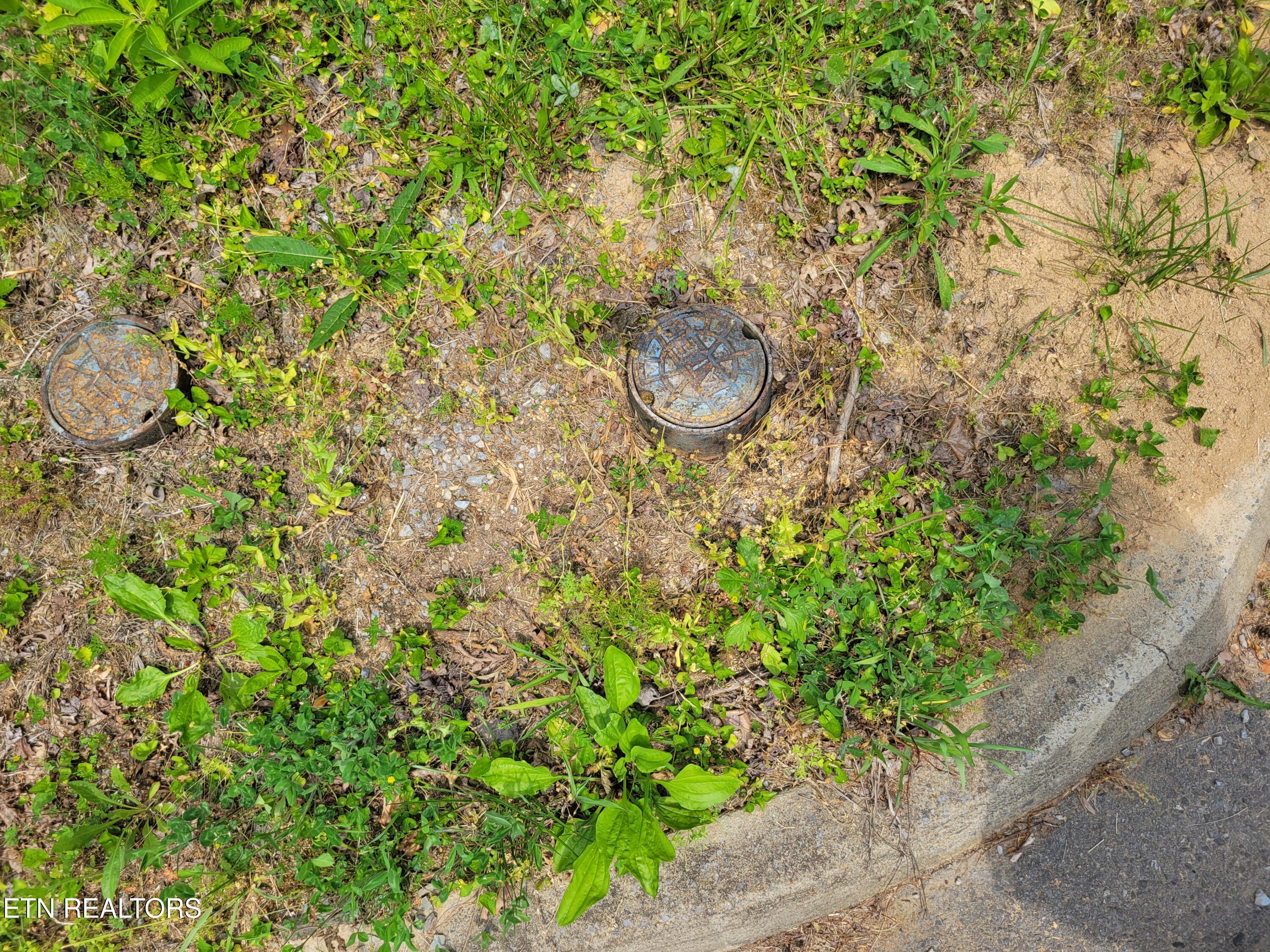 Lot 15 Peace Lane Cosby TN 37722