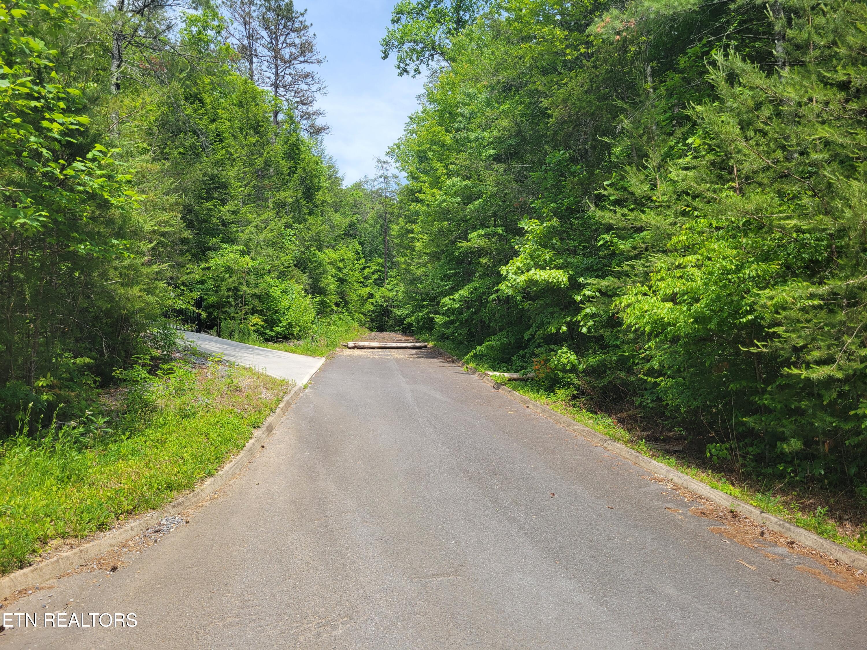 Lot 15 Peace Lane Cosby TN 37722