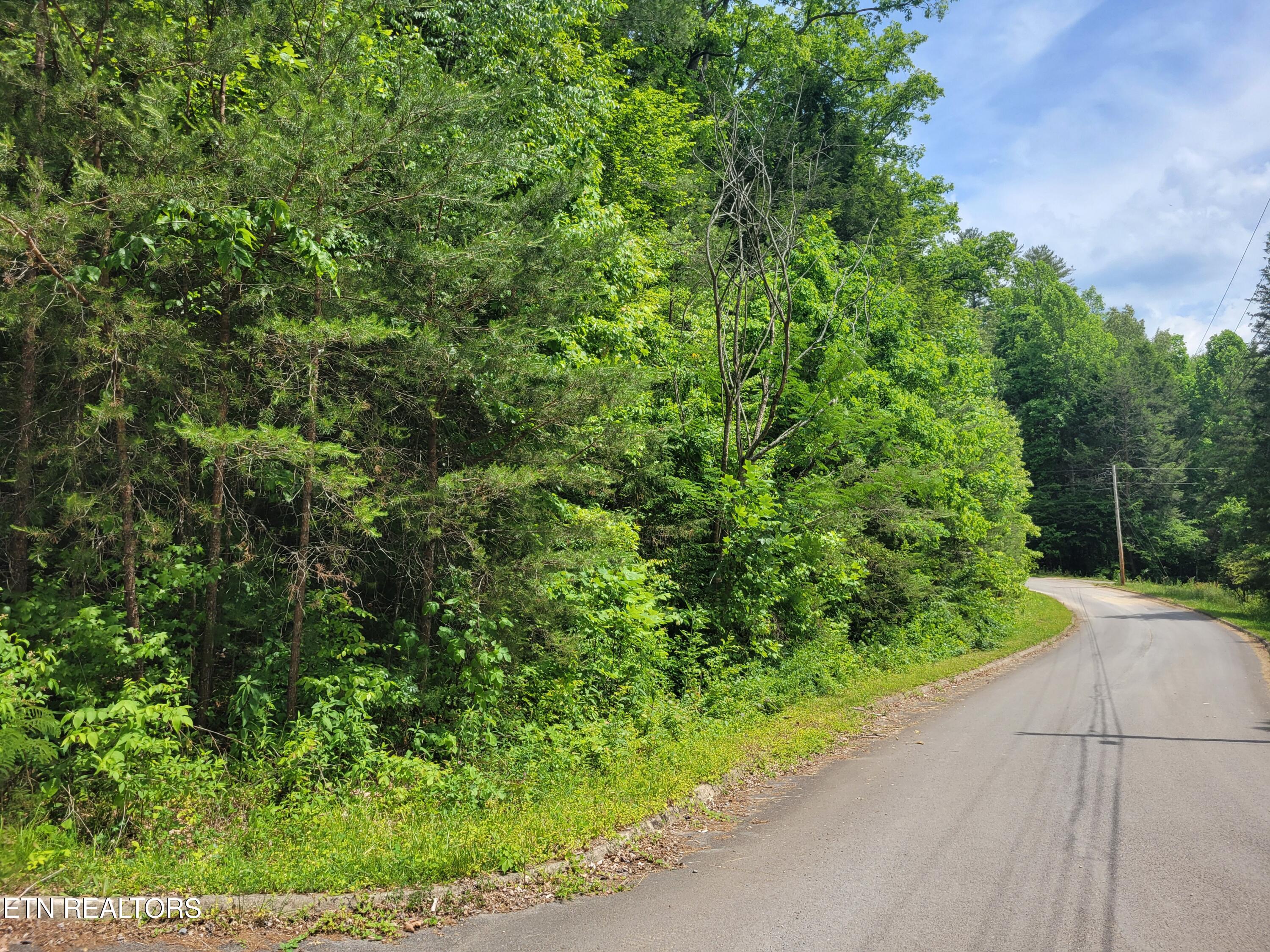 Lot 15 Peace Lane Cosby TN 37722