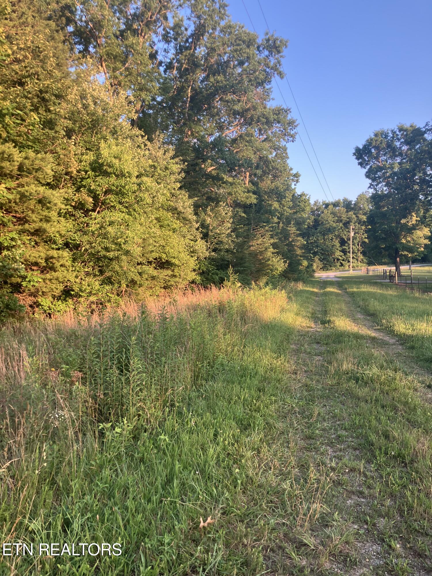 Lot 10 Holly Drive Pikeville TN 37367