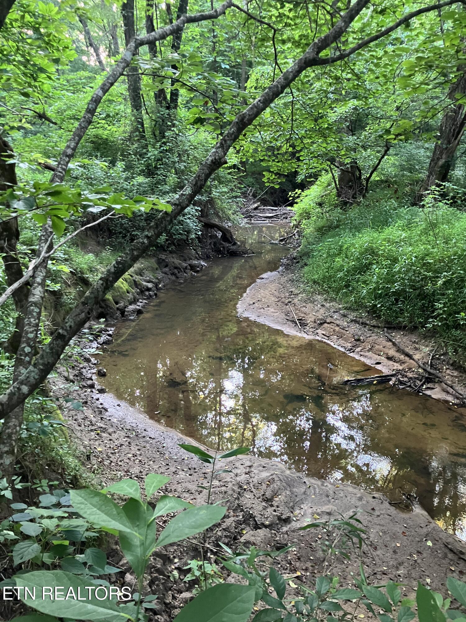 Lot 10 Holly Drive Pikeville TN 37367