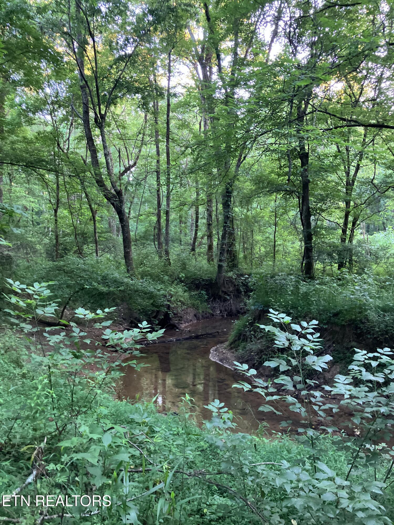 Lot 10 Holly Drive Pikeville TN 37367