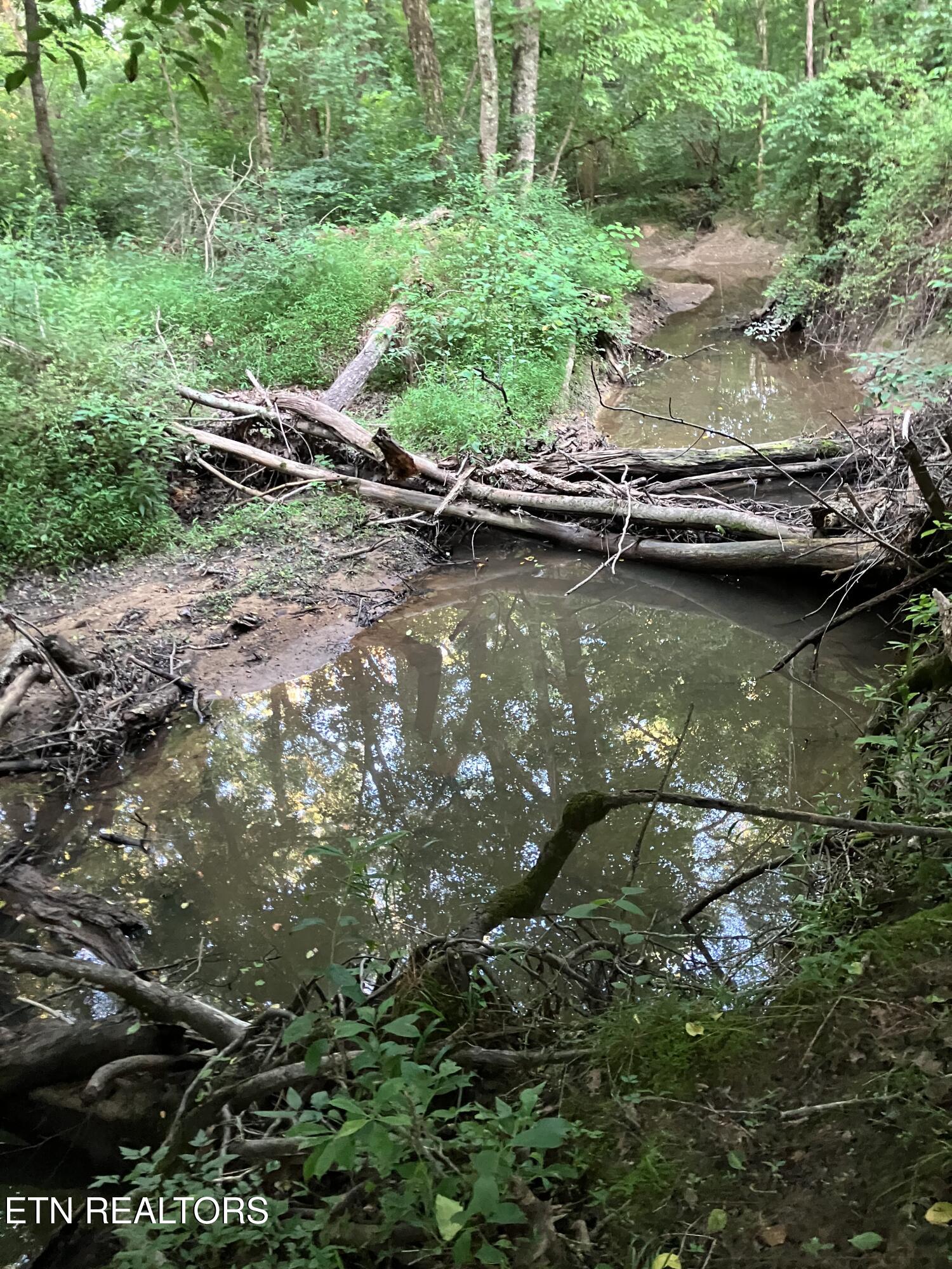 Lot 10 Holly Drive Pikeville TN 37367