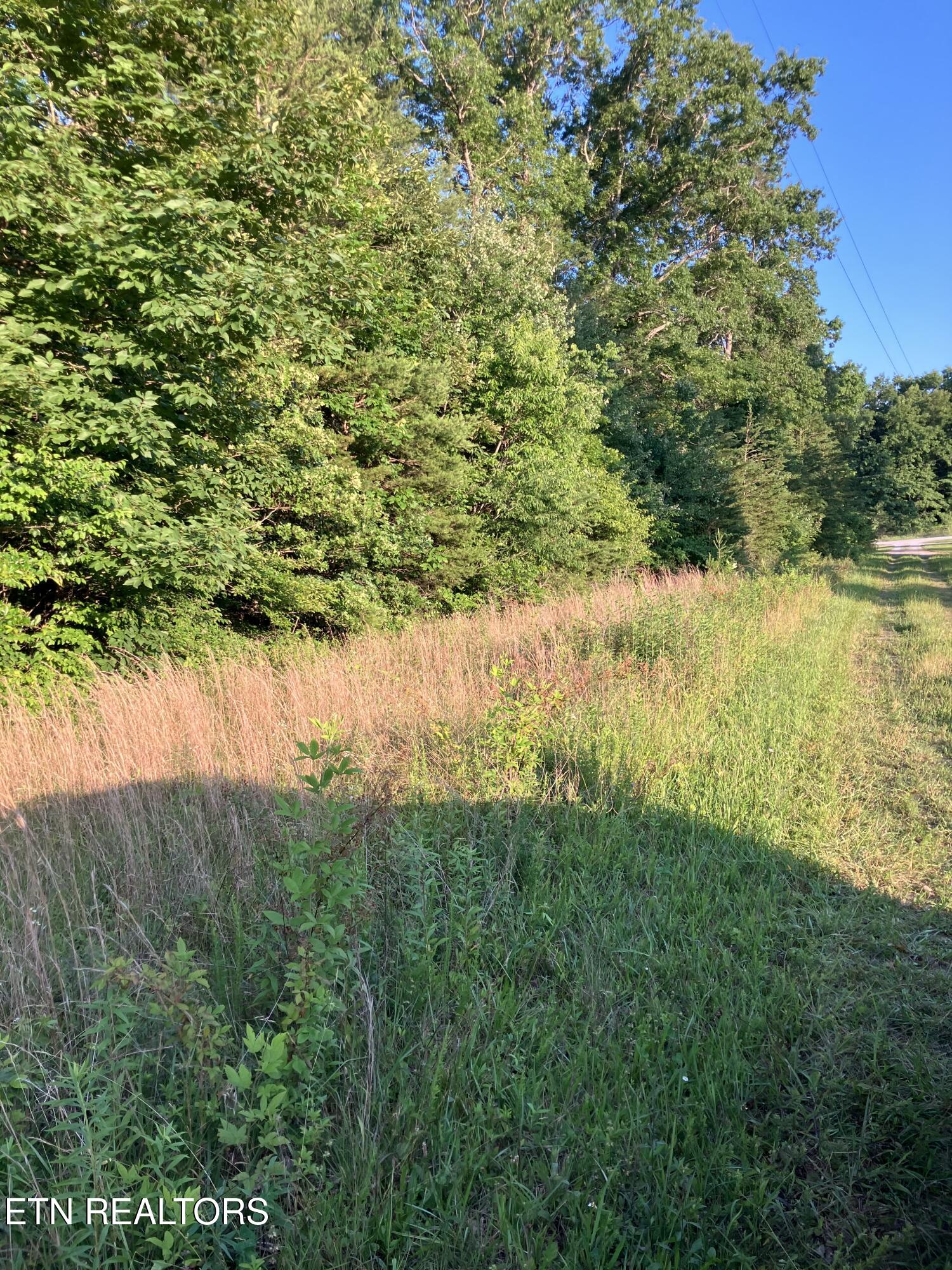 Lot 10 Holly Drive Pikeville TN 37367
