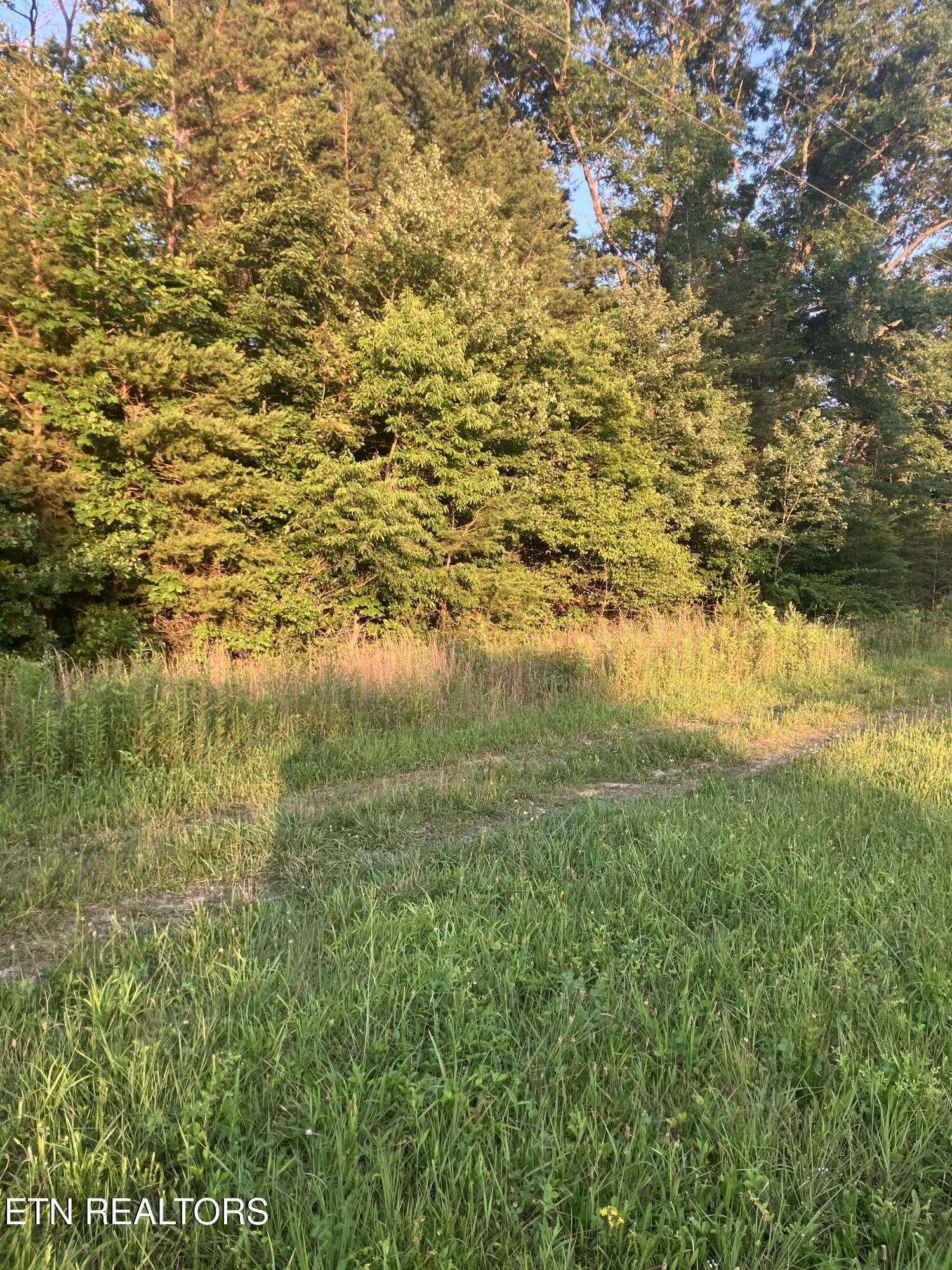 Lot 10 Holly Drive Pikeville TN 37367