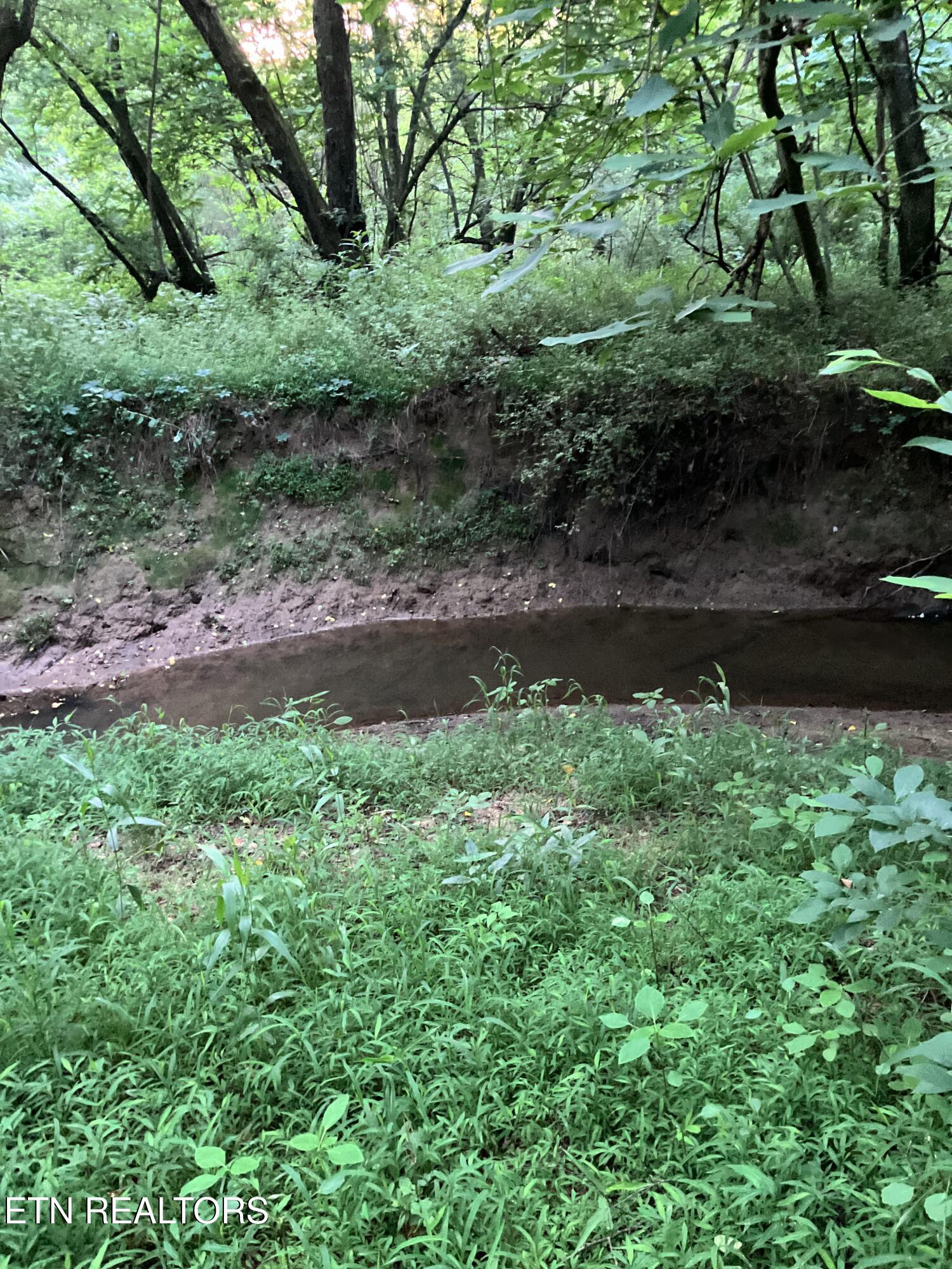 Lot 10 Holly Drive Pikeville TN 37367