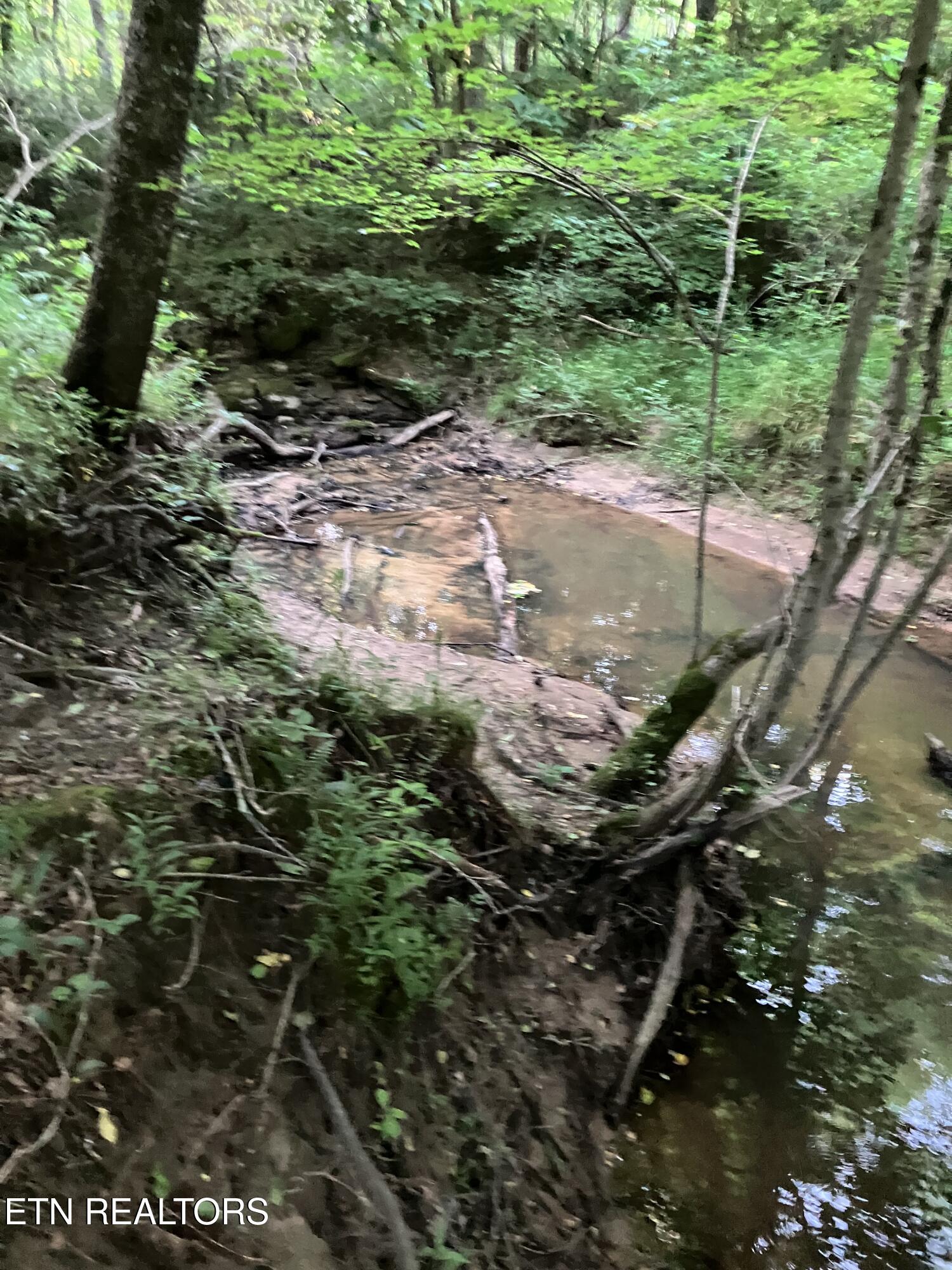 Lot 10 Holly Drive Pikeville TN 37367