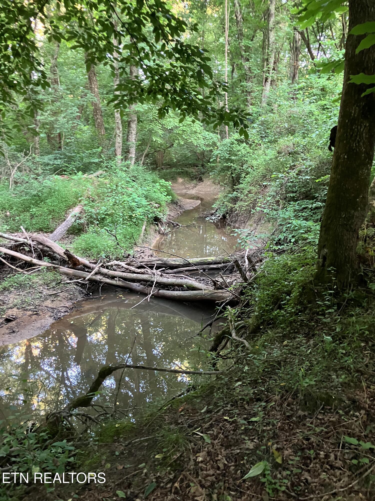 Lot 10 Holly Drive Pikeville TN 37367