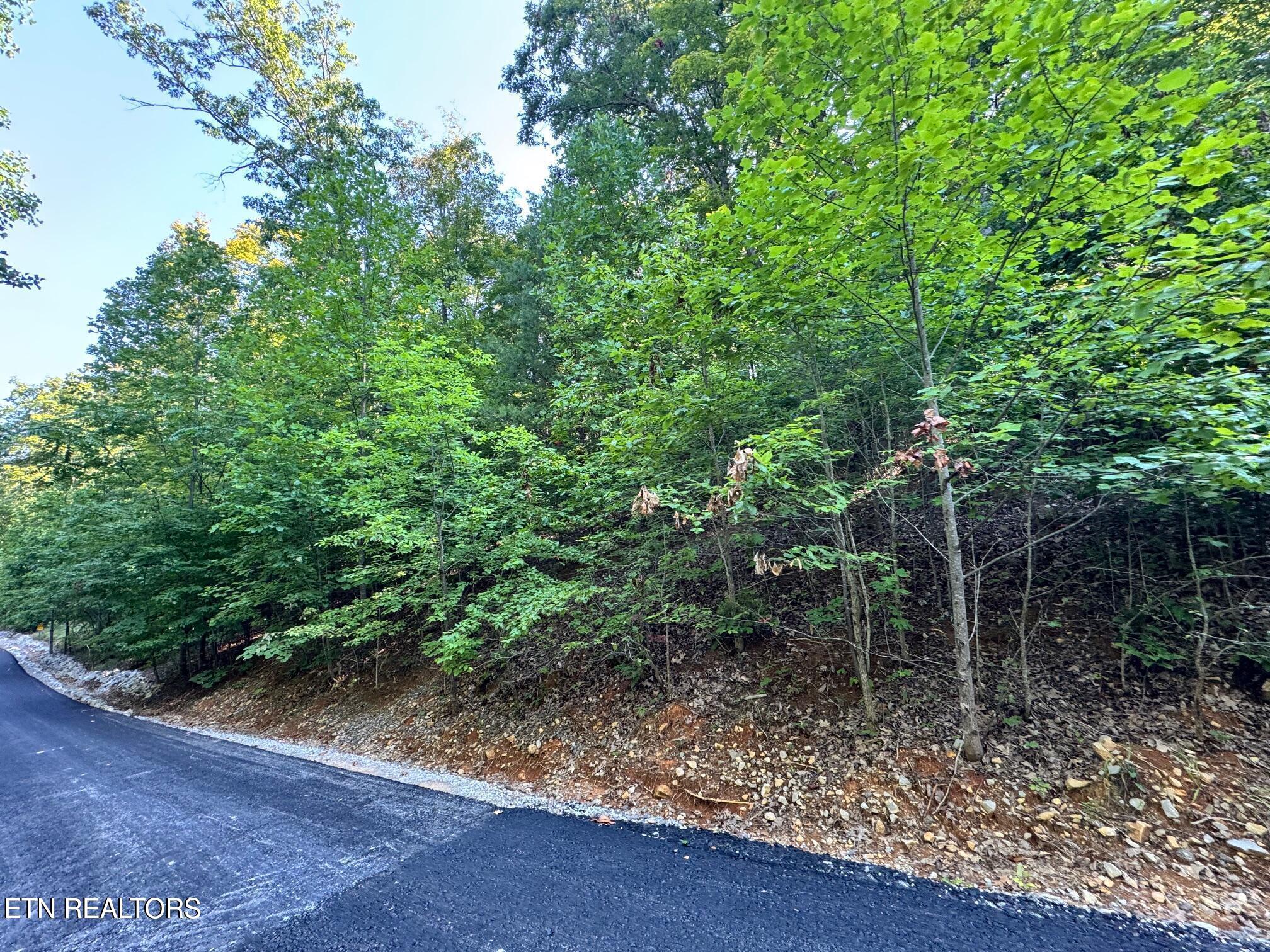 626 N Pointe Trail Allons TN 38541