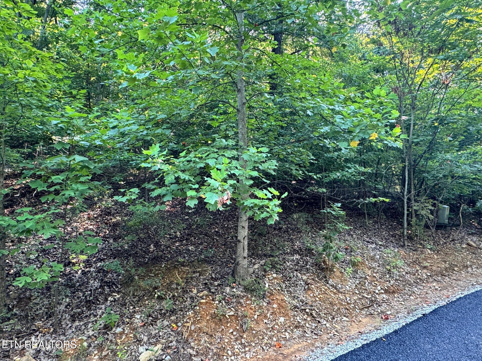 626 N Pointe Trail Allons TN 38541