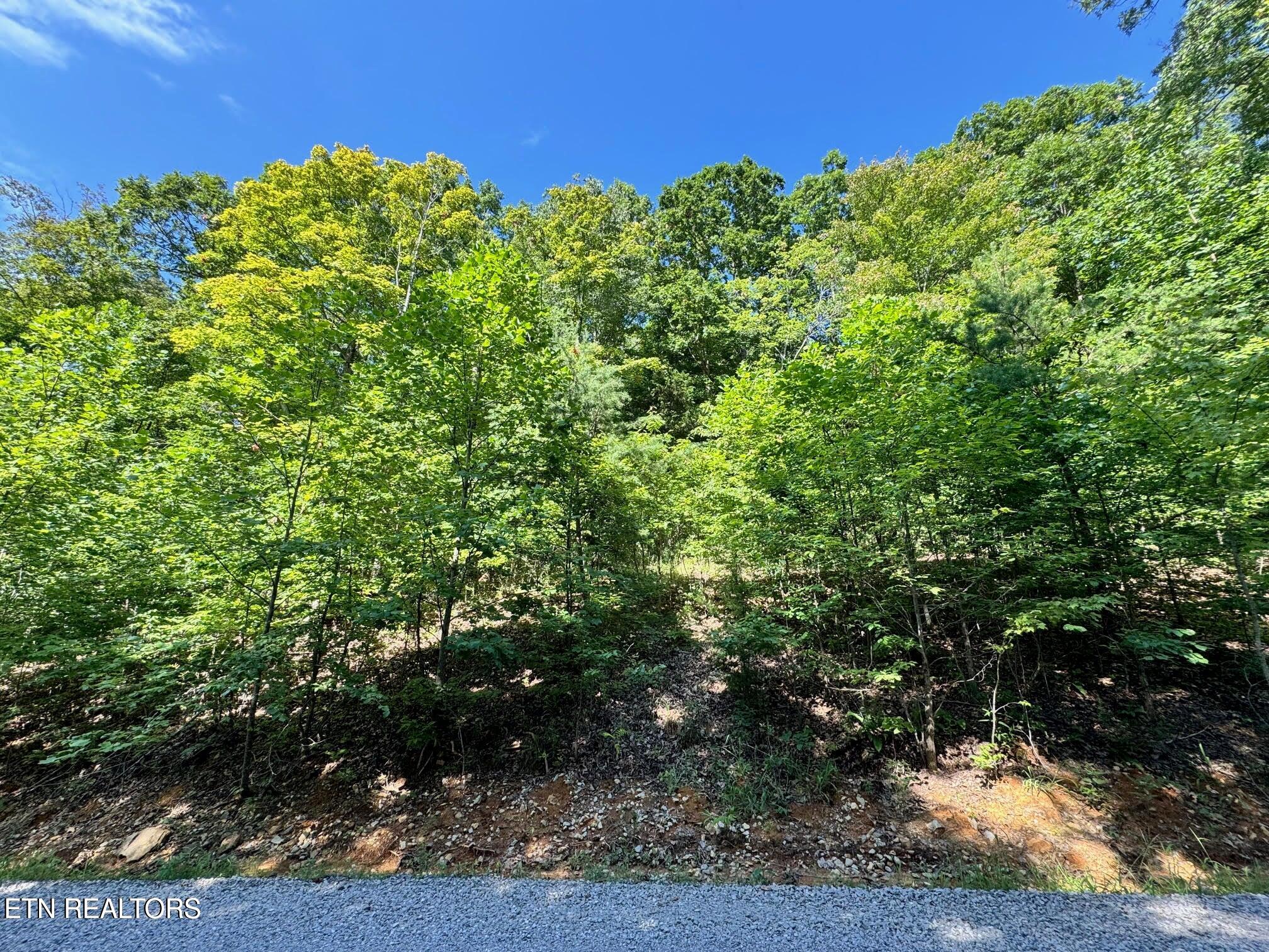 626 N Pointe Trail Allons TN 38541