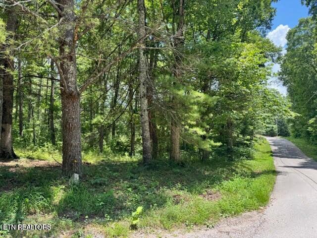 626 N Pointe Trail Allons TN 38541