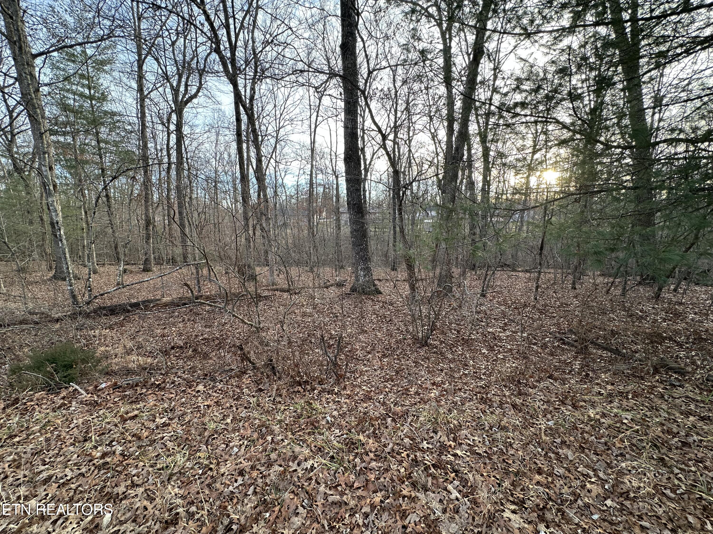 3026 Oklahoma Drive Crossville TN 38572