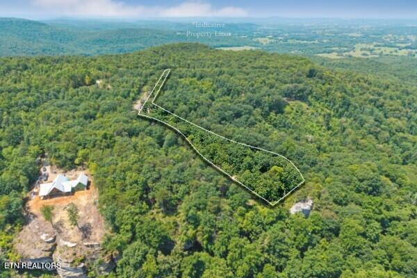 203 Crestview Lane Sparta TN 38583