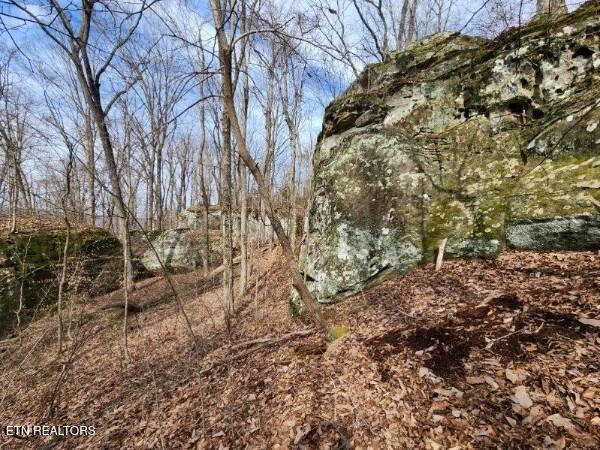 203 Crestview Lane Sparta TN 38583