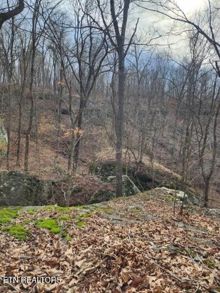 203 Crestview Lane Sparta TN 38583