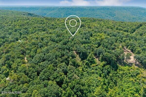 203 Crestview Lane Sparta TN 38583