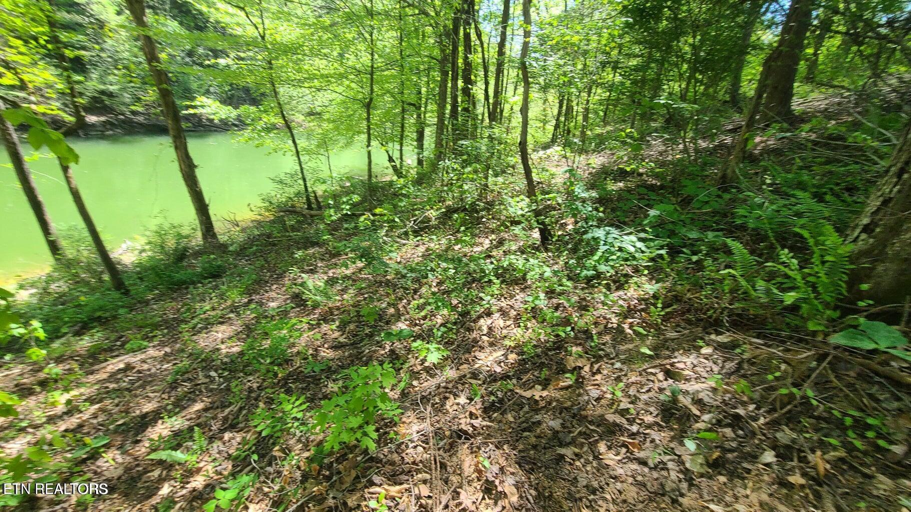 Lot 117a Claiborne Road Lafollette TN 37766