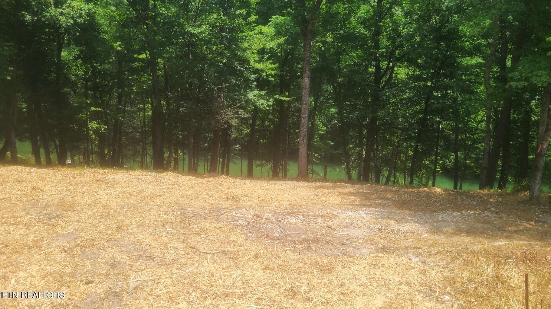Lot 117a Claiborne Road Lafollette TN 37766