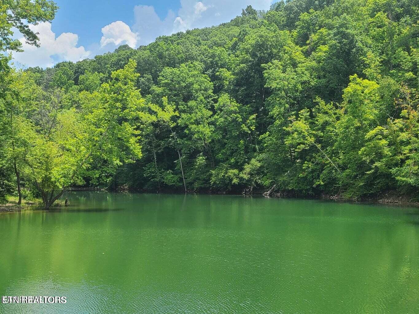 Lot 117a Claiborne Road Lafollette TN 37766