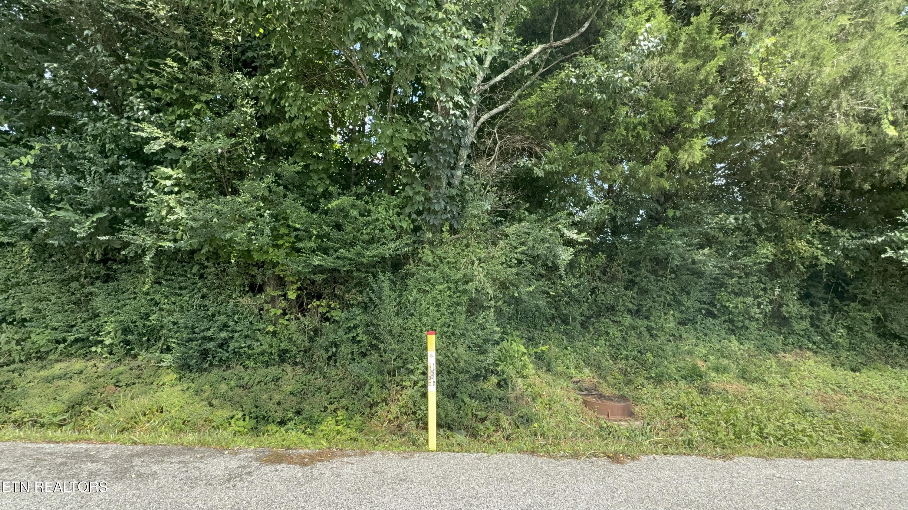 Mountain Perkins Lane Jacksboro TN 37757