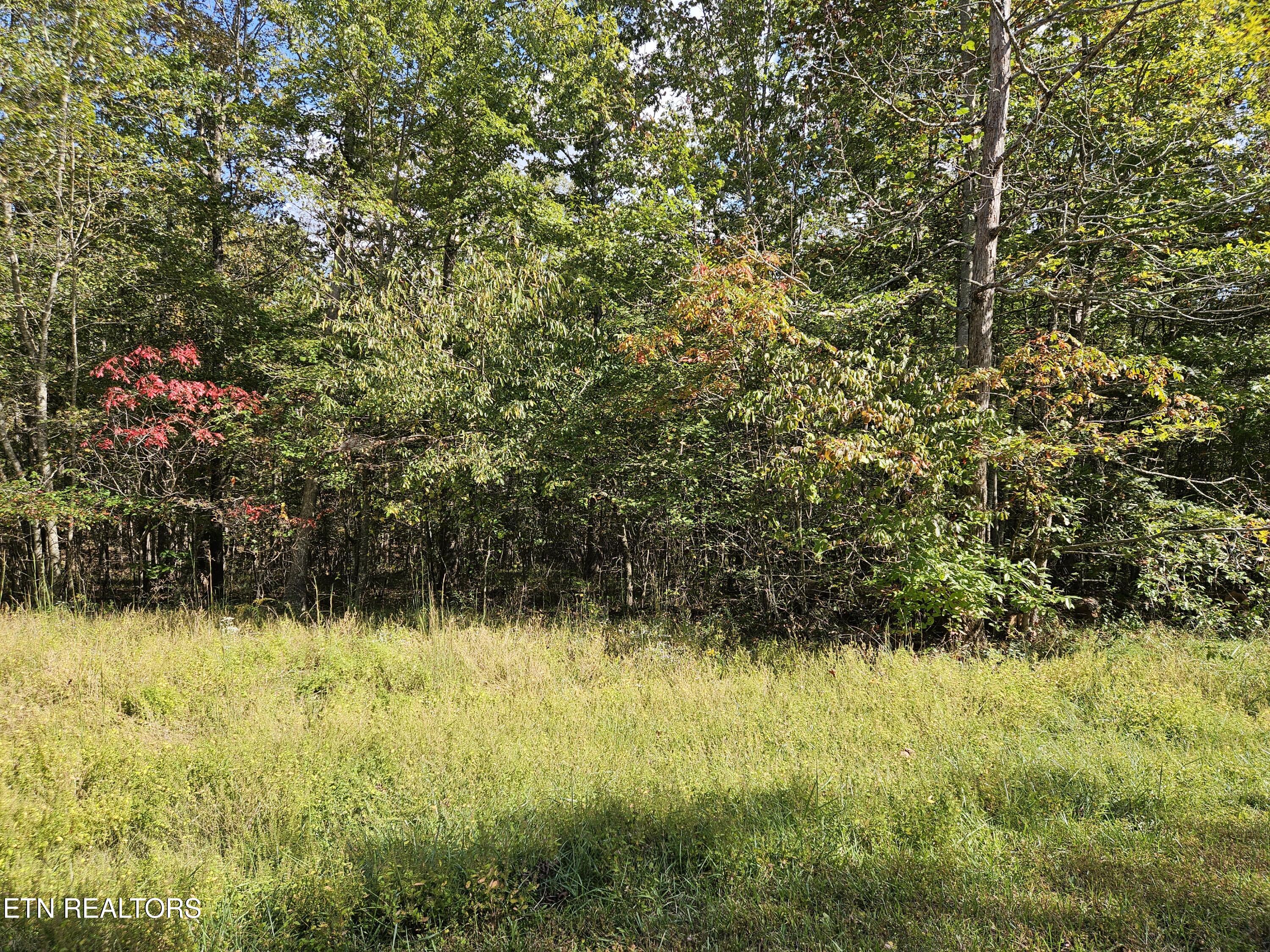 00 Holly Lane Spencer TN 38585
