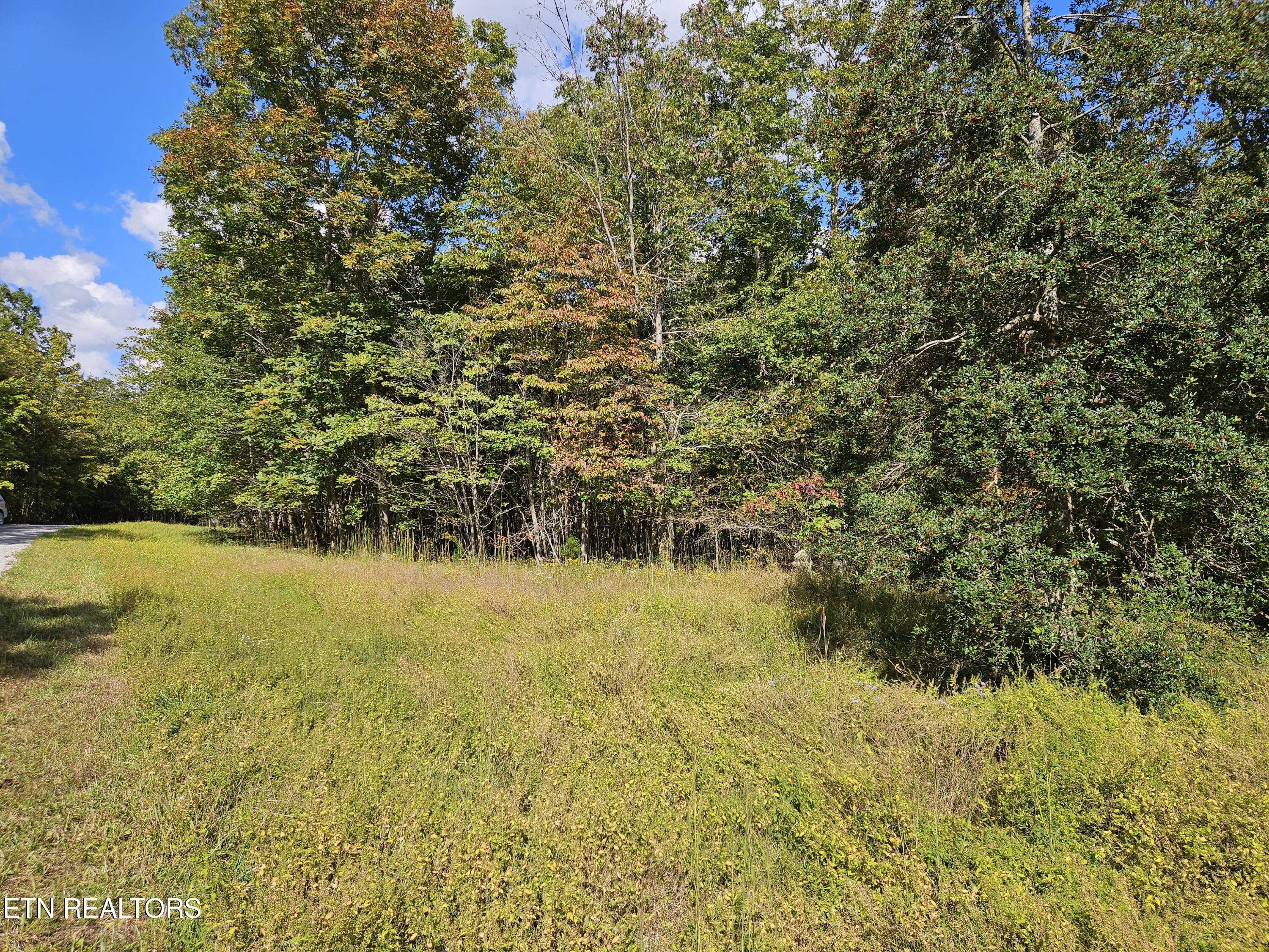 00 Holly Lane Spencer TN 38585