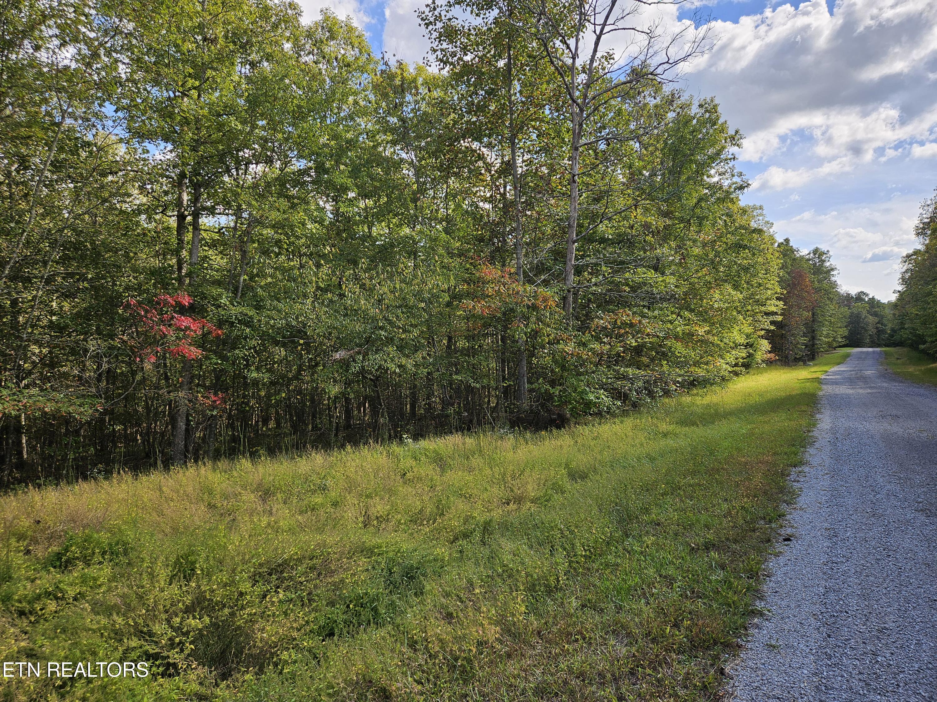 00 Holly Lane Spencer TN 38585