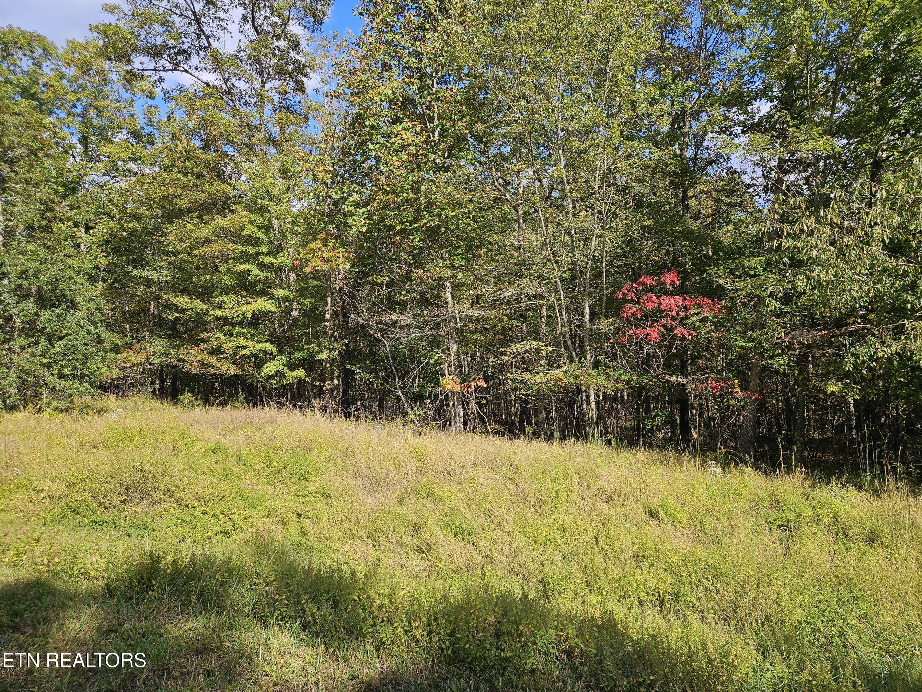 00 Holly Lane Spencer TN 38585