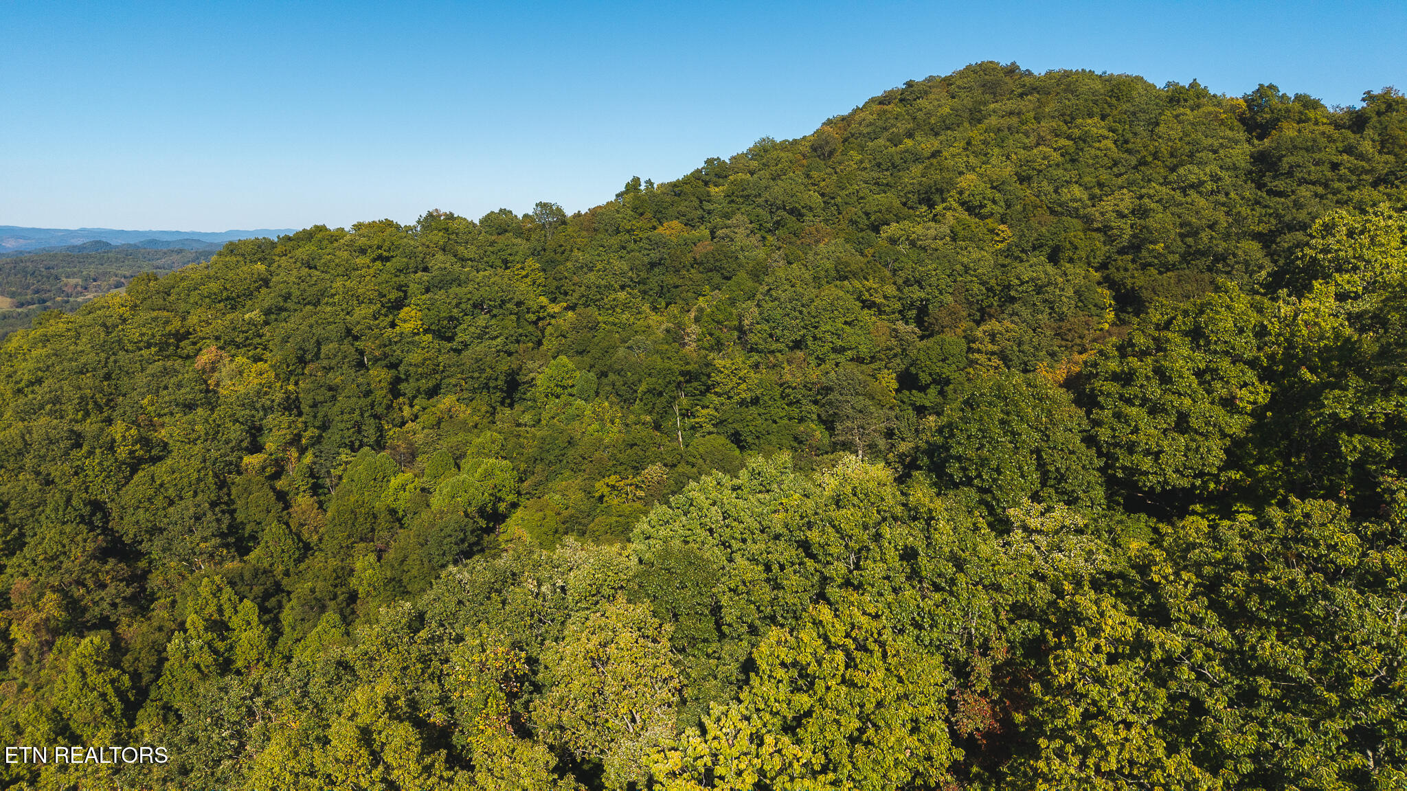 69.26 Ac Wolfe Road Sneedville TN 37869