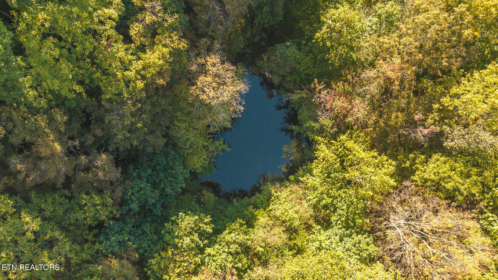69.26 Ac Wolfe Road Sneedville TN 37869