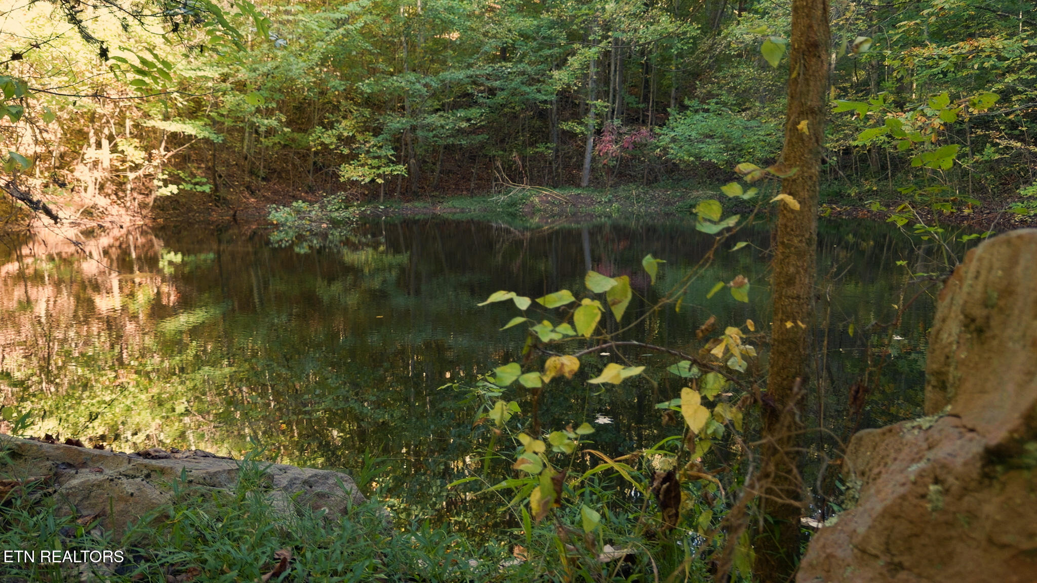 69.26 Ac Wolfe Road Sneedville TN 37869
