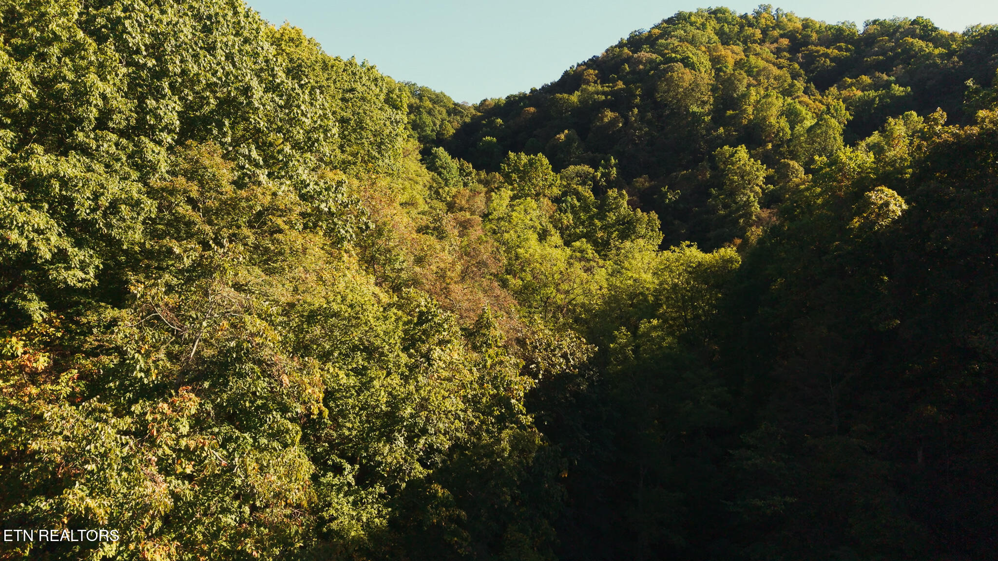 69.26 Ac Wolfe Road Sneedville TN 37869