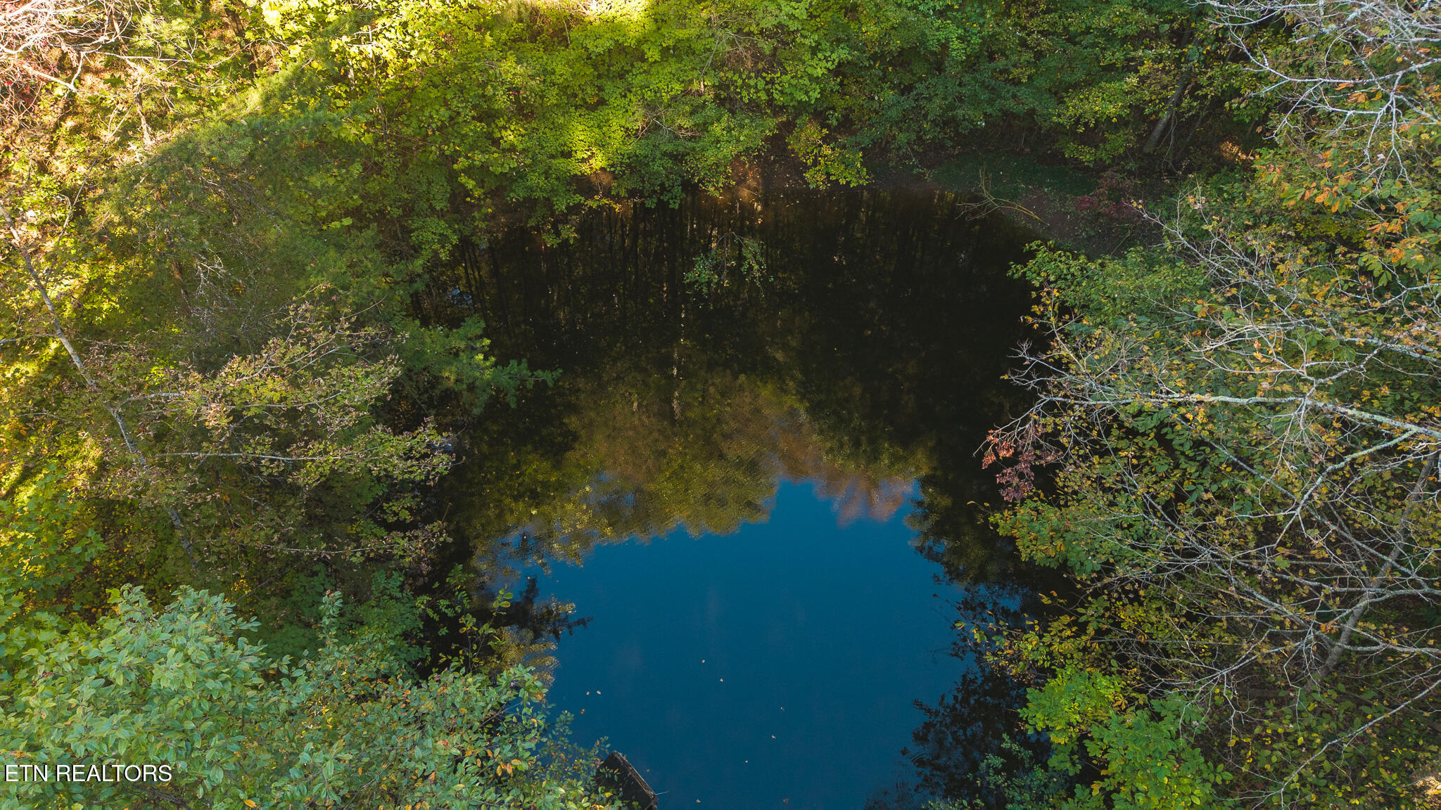 69.26 Ac Wolfe Road Sneedville TN 37869