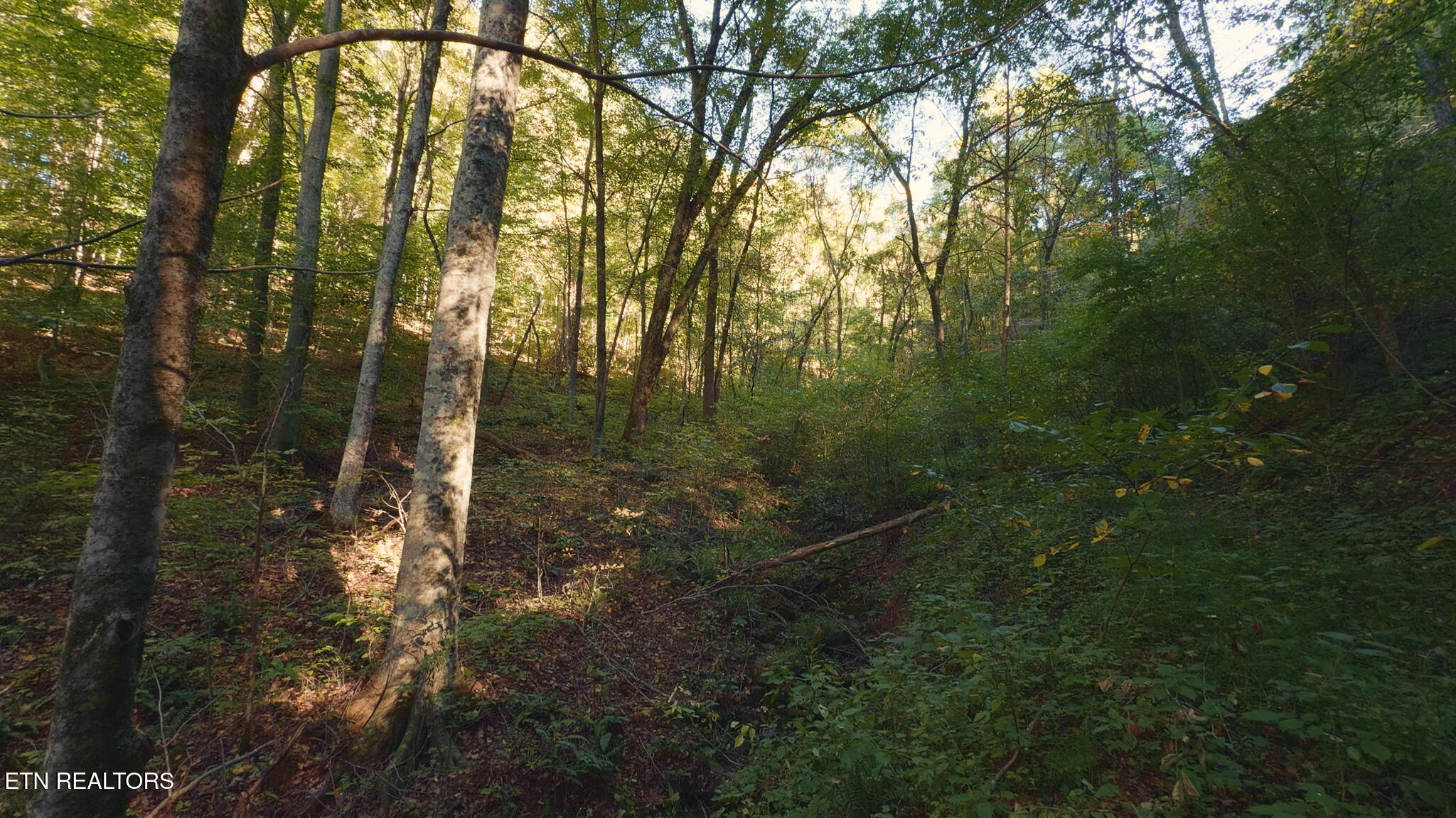 69.26 Ac Wolfe Road Sneedville TN 37869