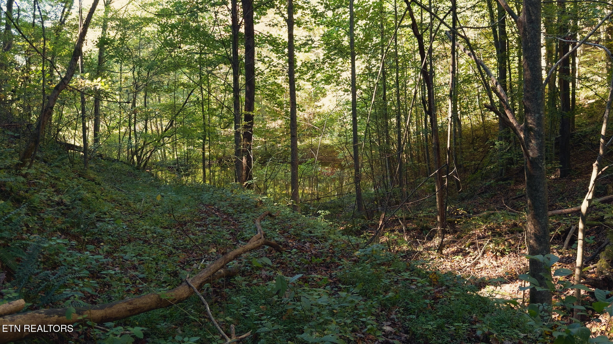 69.26 Ac Wolfe Road Sneedville TN 37869