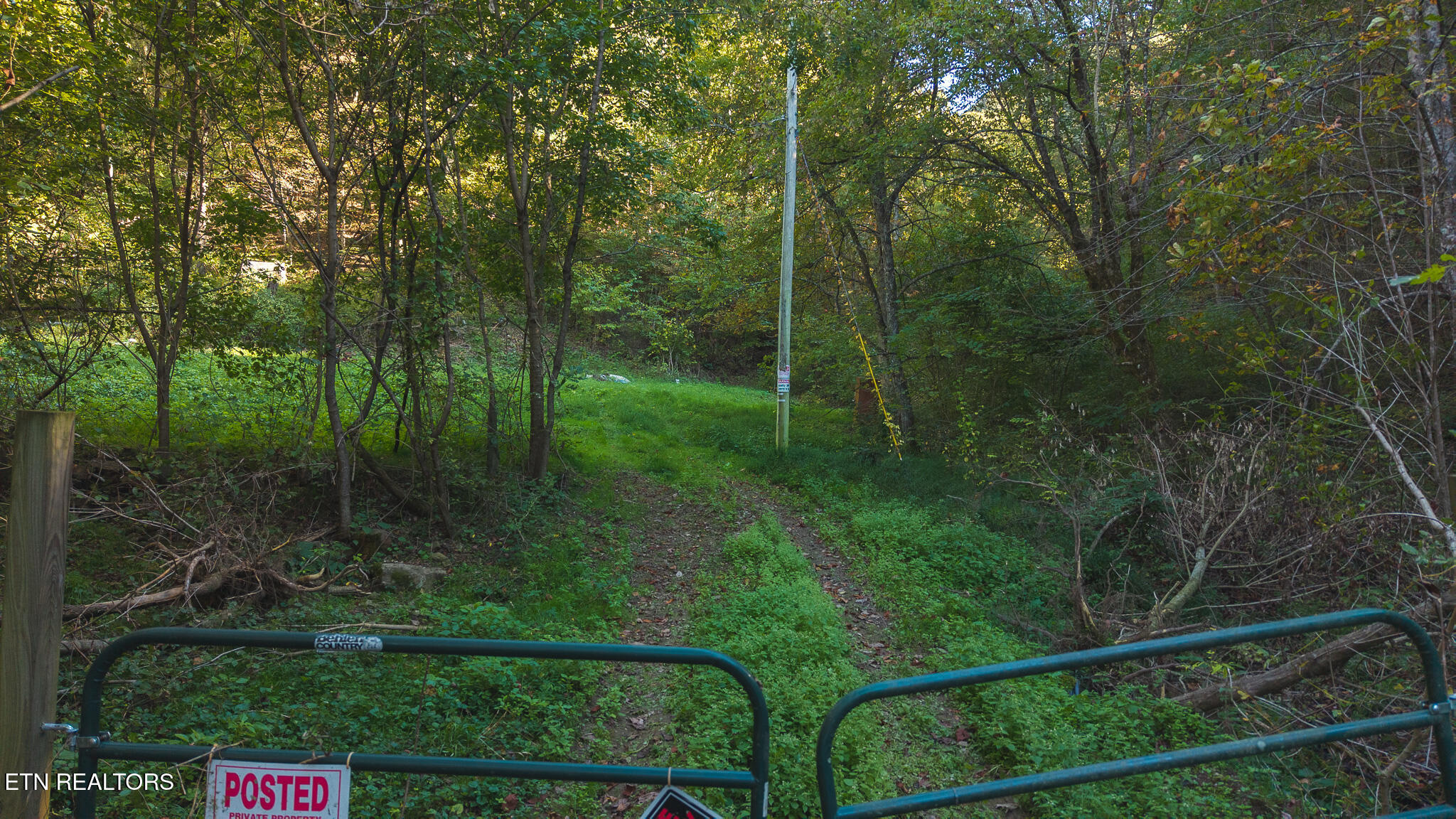 69.26 Ac Wolfe Road Sneedville TN 37869