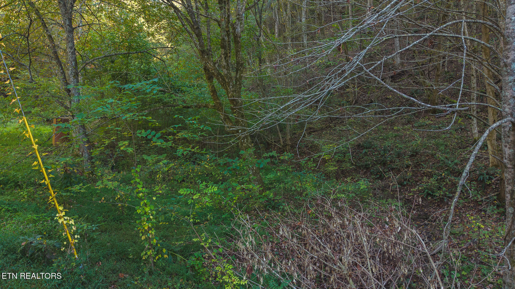 69.26 Ac Wolfe Road Sneedville TN 37869